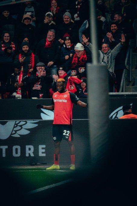 1756080873409019413.jpg bonifeisi.jpg